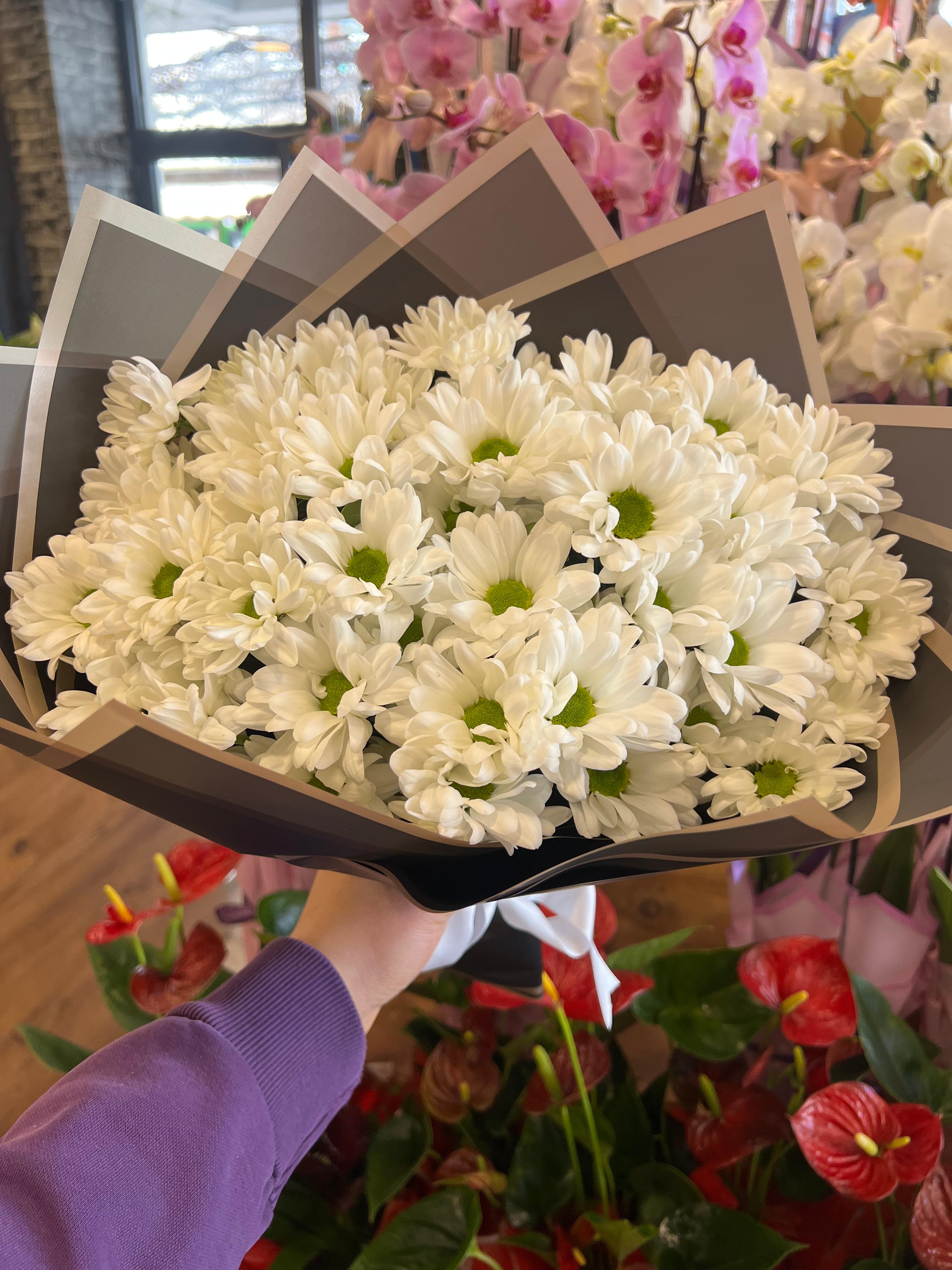 Beyaz Papatya Buketi