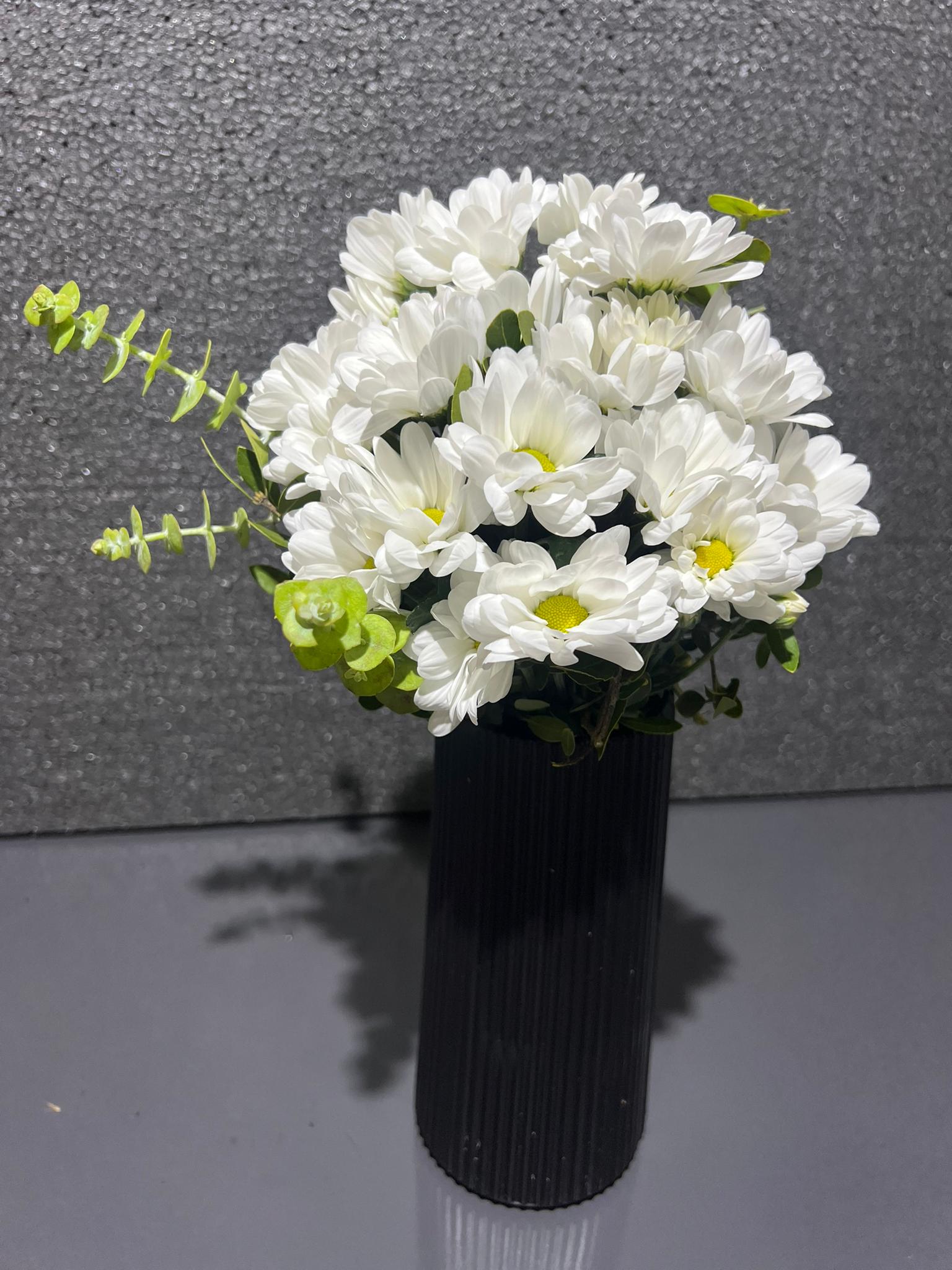 Siyah Vazoda Papatya