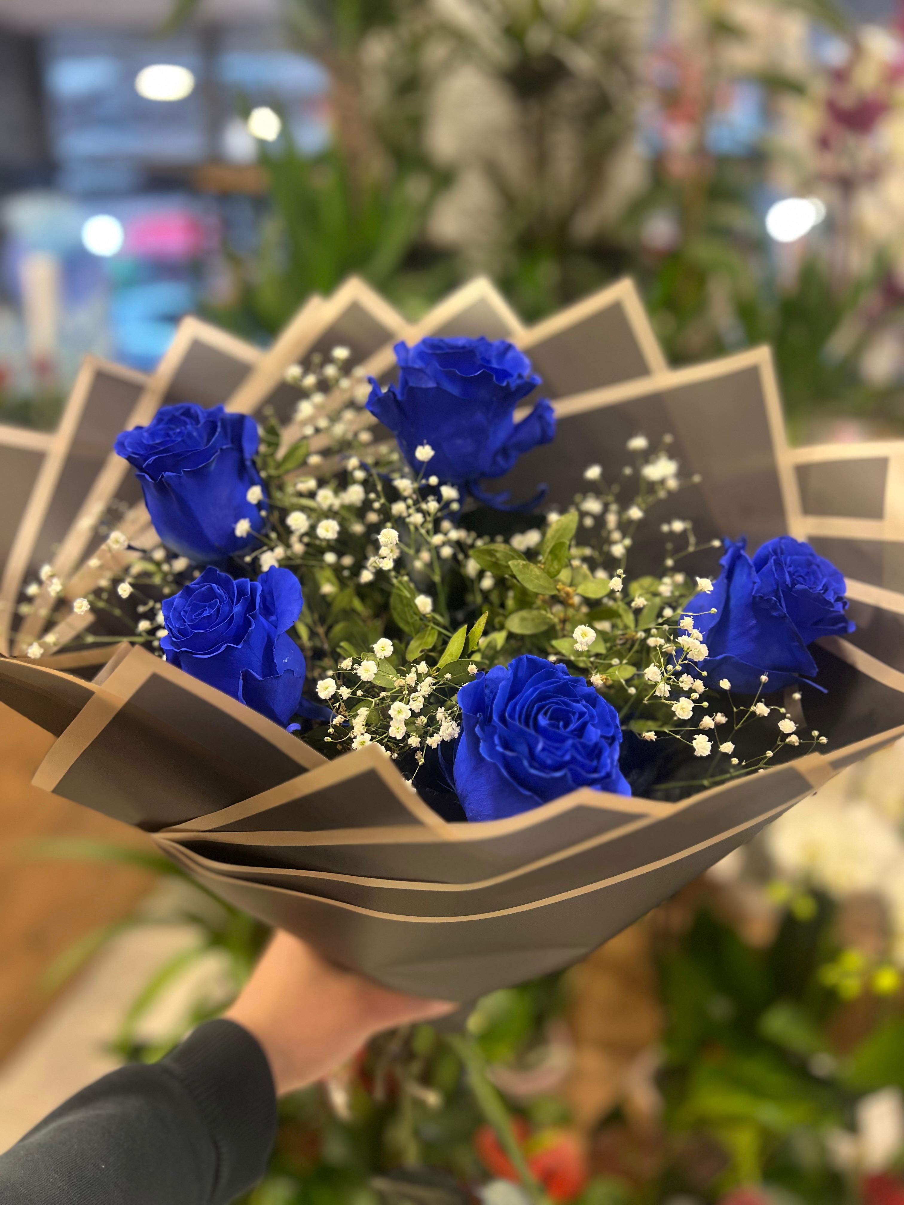 Canlı Mavi Ekvator Gül