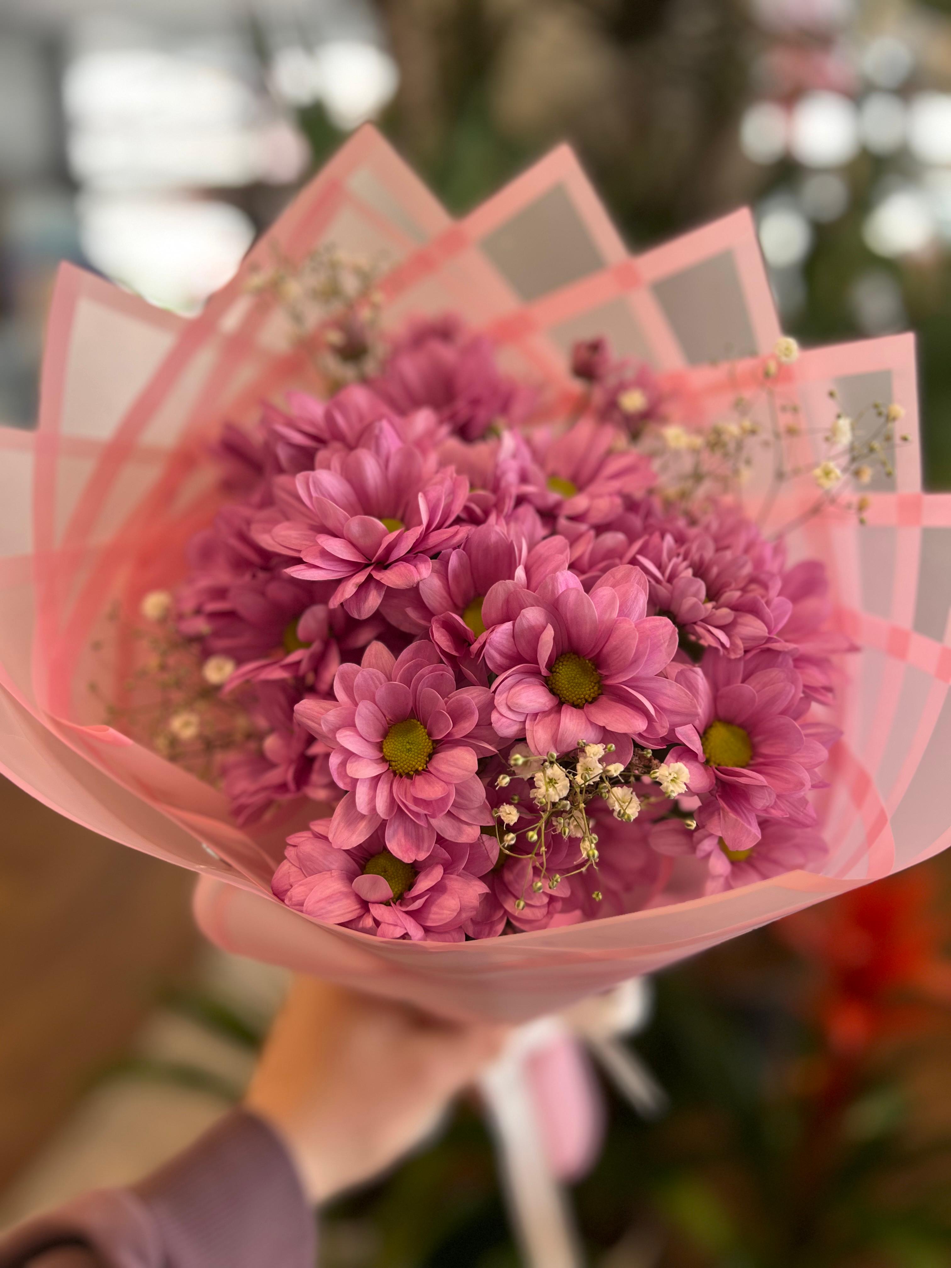 Canlı Pembe Papatya Buketi