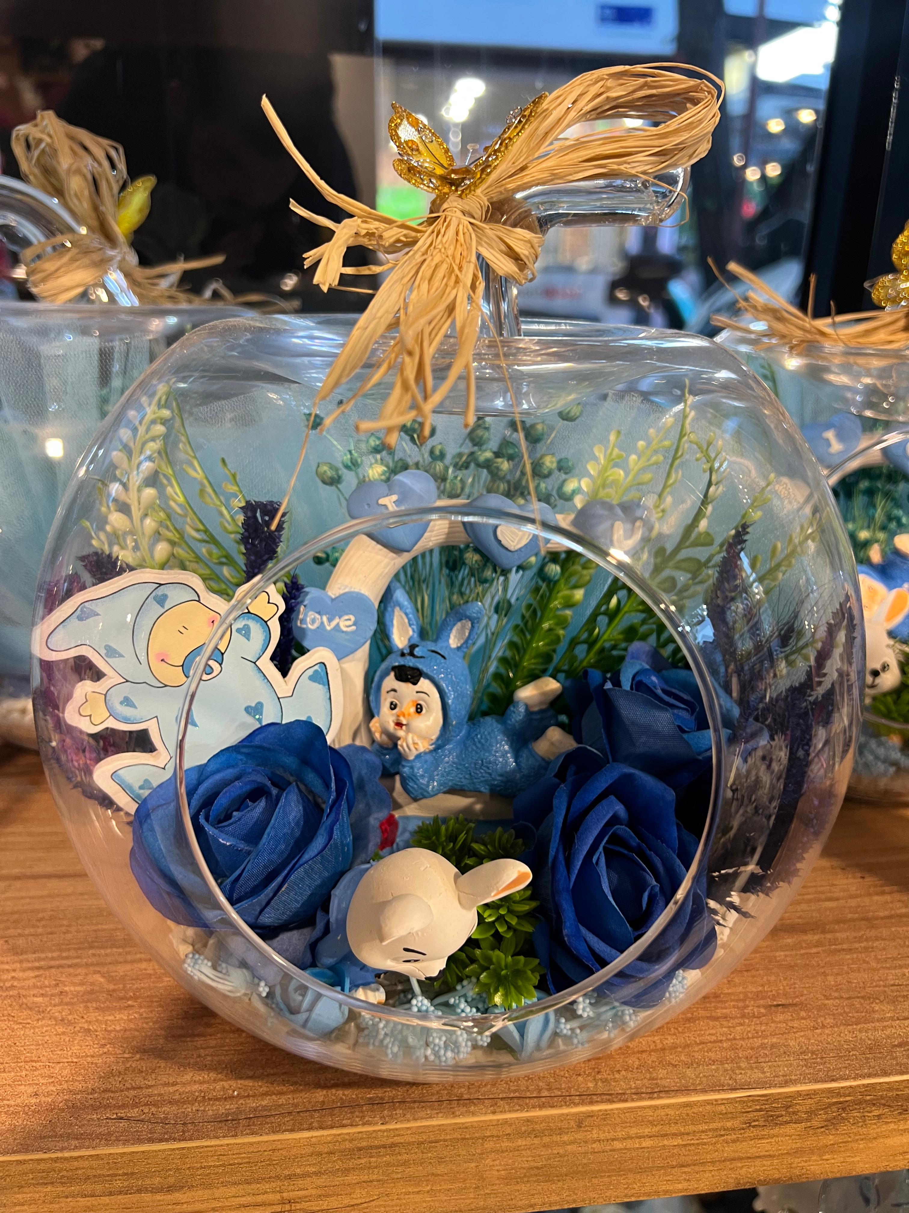 ERKEK BEBEK TERARYUM