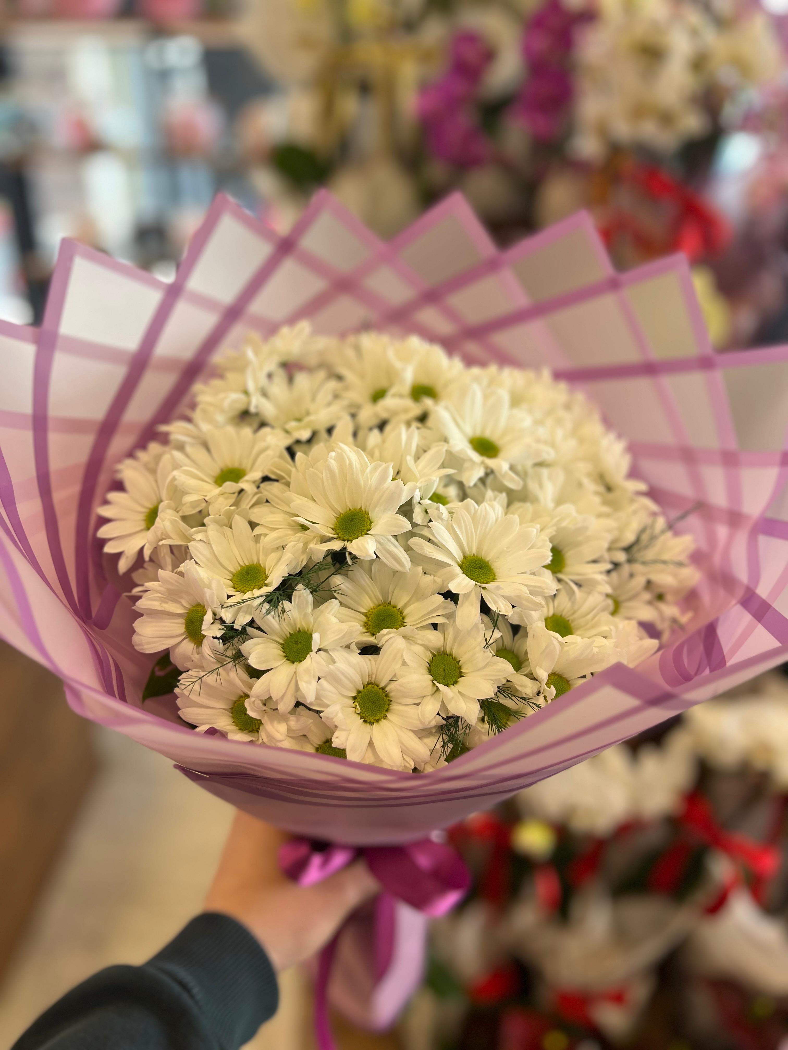 Canlı Papatya Buketim