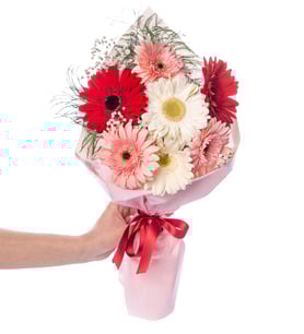Pudra Bukette Kırmızı Pembe ve Beyaz Gerberalar