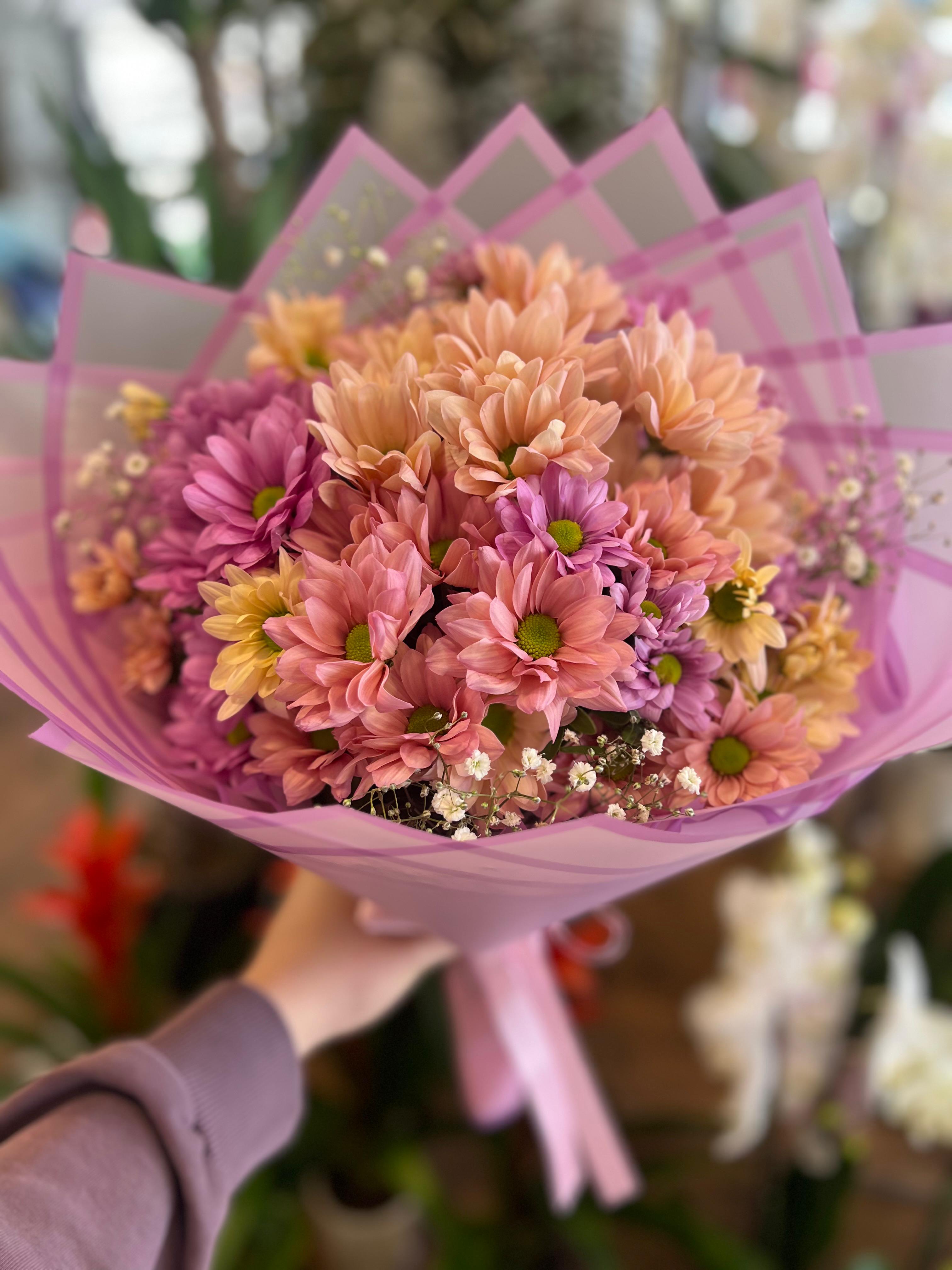 Renkli Canlı Papatya Buketi