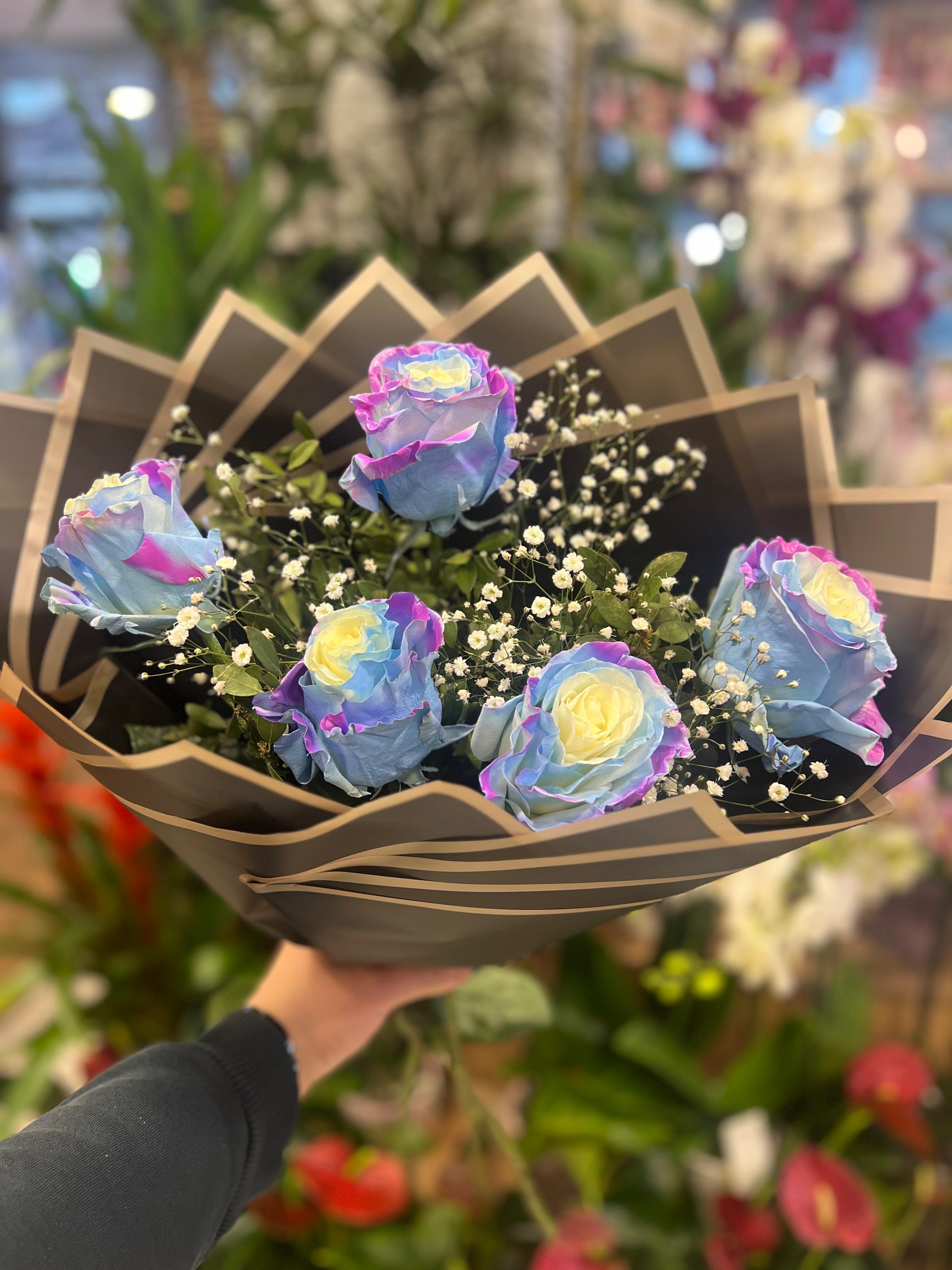 Canlı Rengarenk Ekvator Gül