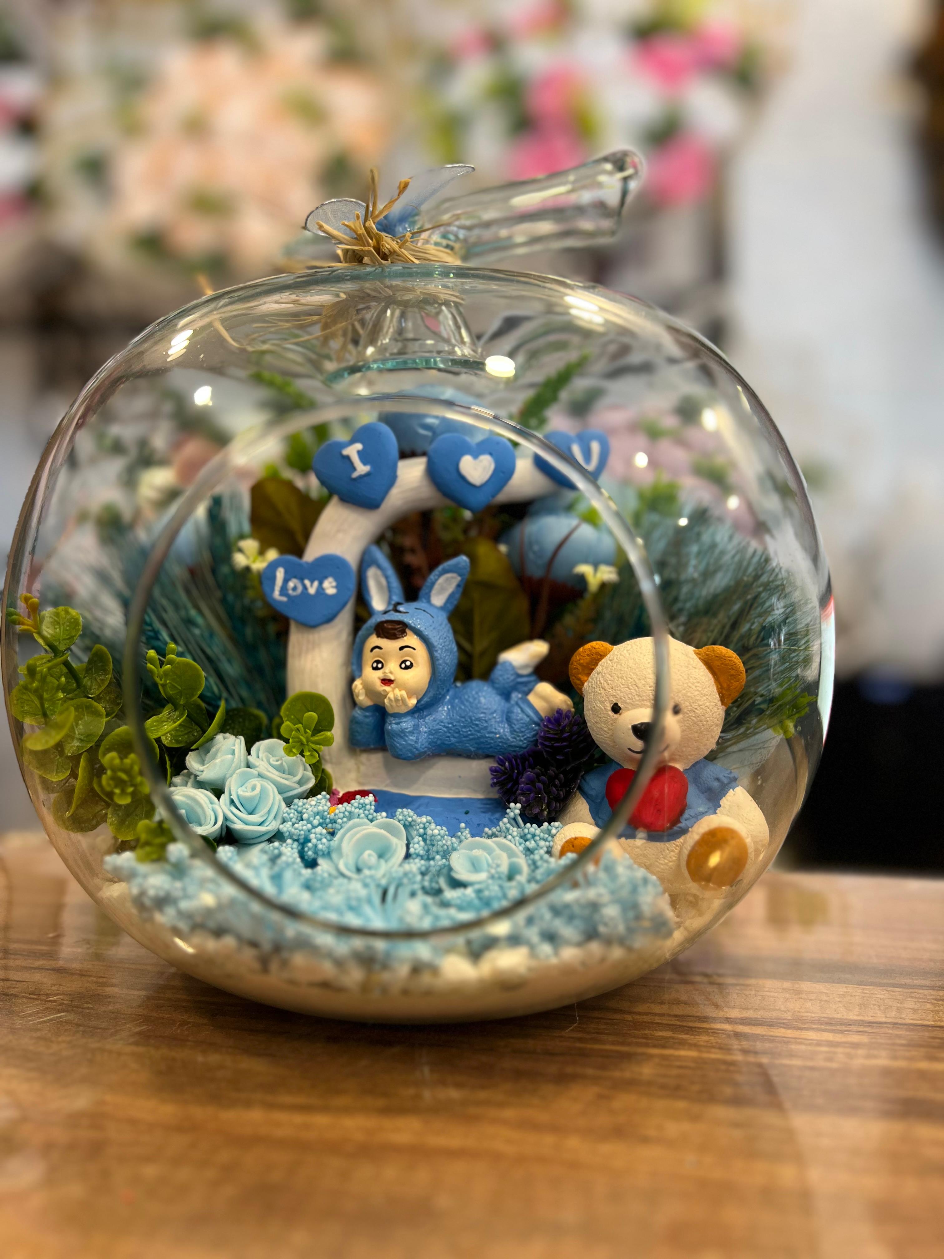 Erkek Bebek Teraryum