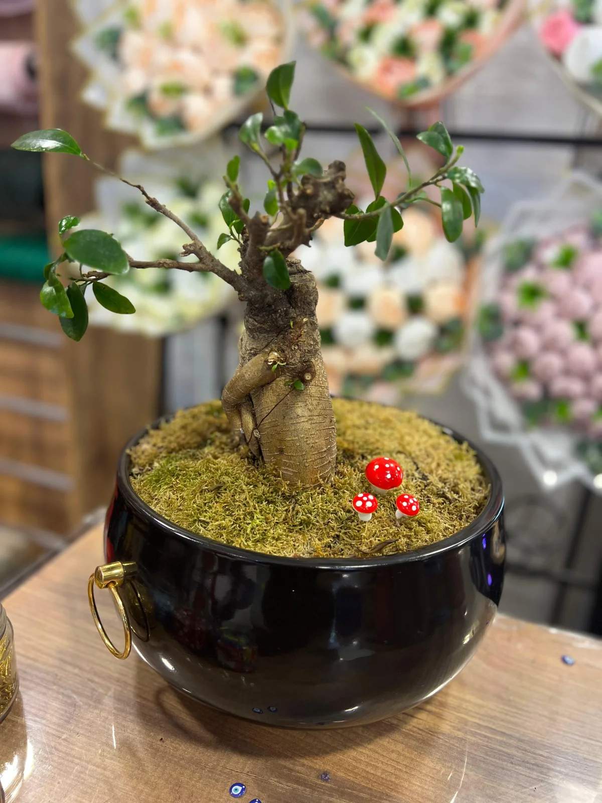 Canlı Bonsai